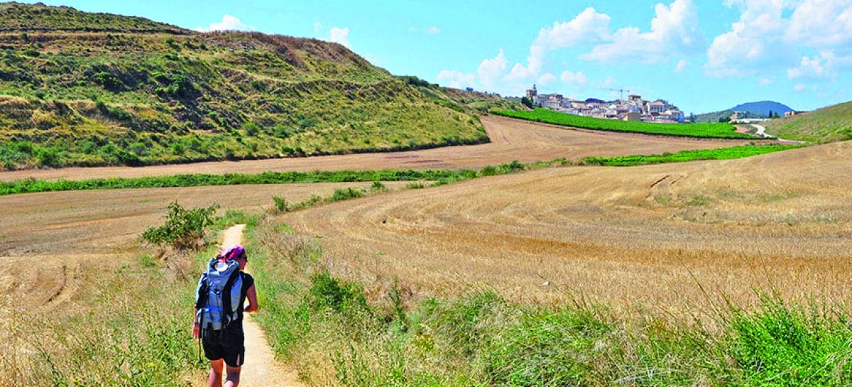 Il Cammino di Santiago de Compostela - Guida in Italiano