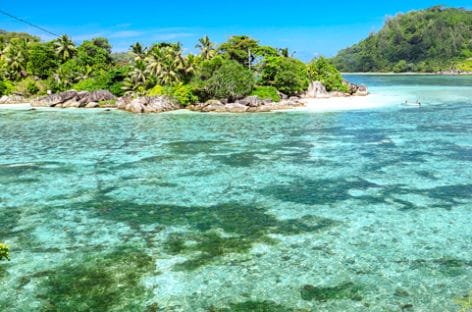 Seychelles chiude l’anno con 334mila visitatori
