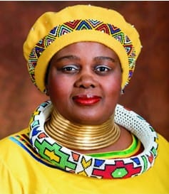 Sudafrica, il nuovo ministro del Turismo è Kubayi-Nububane