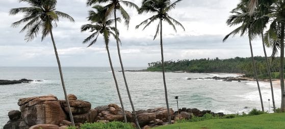 Ultima frontiera Sri Lanka, terra di spezie e siti Unesco