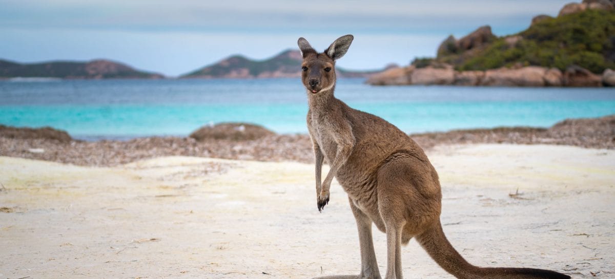 Go Australia in roadshow per gli agenti di viaggi italiani