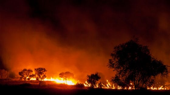 Incendi in Australia, chiuso l’aeroporto di Canberra