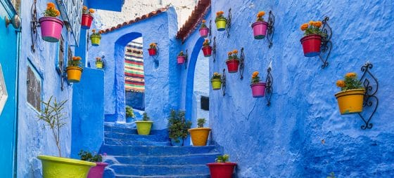 Dalla blu Chefchaouen a Marrakech: il monografico Marocco di Boscolo