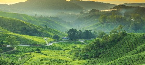 Tourism Malaysia torna in Bit nel segno del green