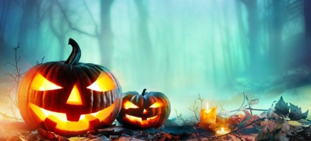 Zoomarine, un mese di eventi per festeggiare Halloween