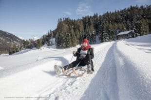 Austria Turismo slittino neve