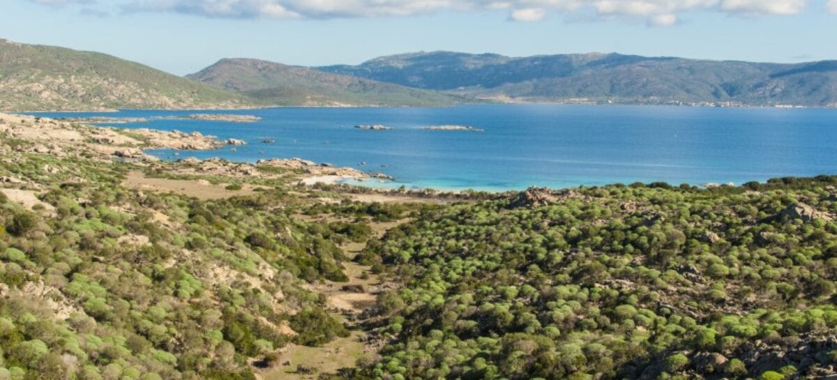 Turismo naturalistico e tecnologia: il buon esempio del Parco dell’Asinara