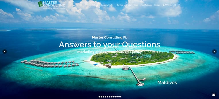 Master Consulting Fl screenshot logo