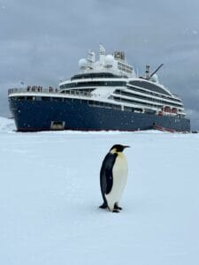 Ponant Antartide pinguini