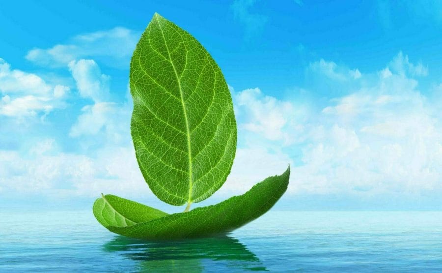 nave green crociere sostenibili