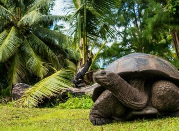 Seychelles, pagamenti digitali per l’ingresso a parchi e riserve