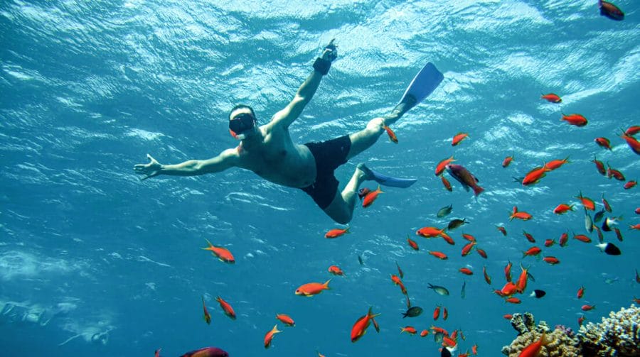 Red-Sea-snorkeling