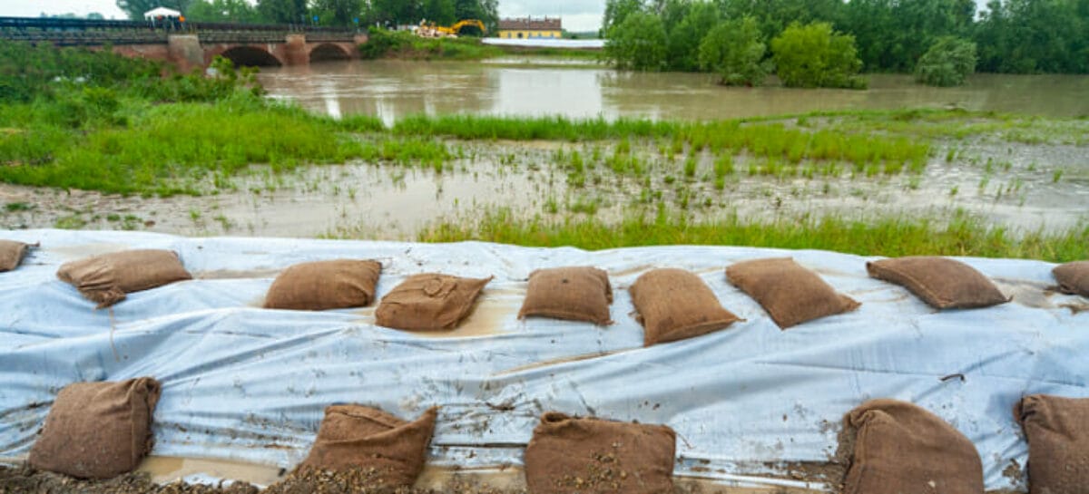 Alluvione in Emilia-Romagna, <br>Babbi: «Il turismo si rialzerà»