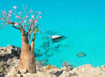 Il ritorno di Kel12 sull’isola mitologica di Socotra