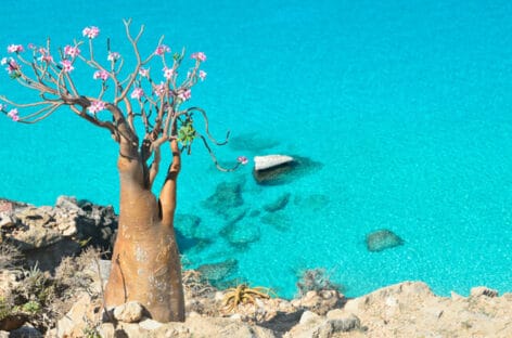Il ritorno di Kel12 sull’isola mitologica di Socotra