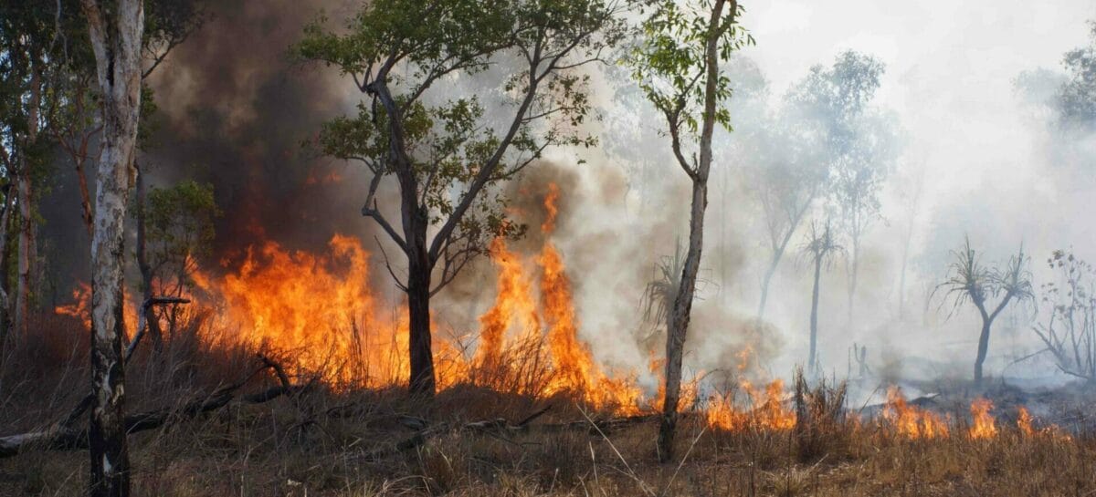 Emergenza incendi, 2mila turisti evacuati sul Gargano
