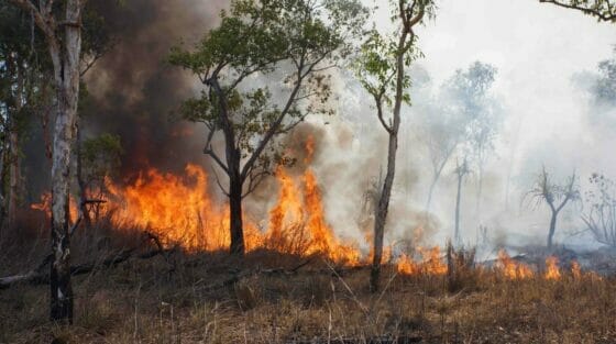 Emergenza incendi, 2mila turisti evacuati sul Gargano