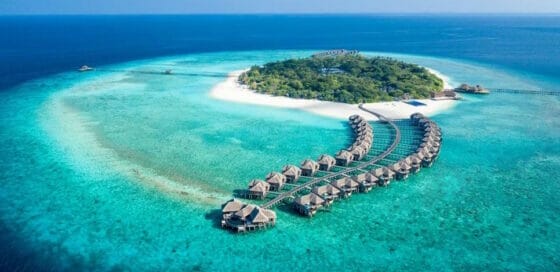 Nicolaus-Vltur porta in fiera le sue Maldive a 5 stelle