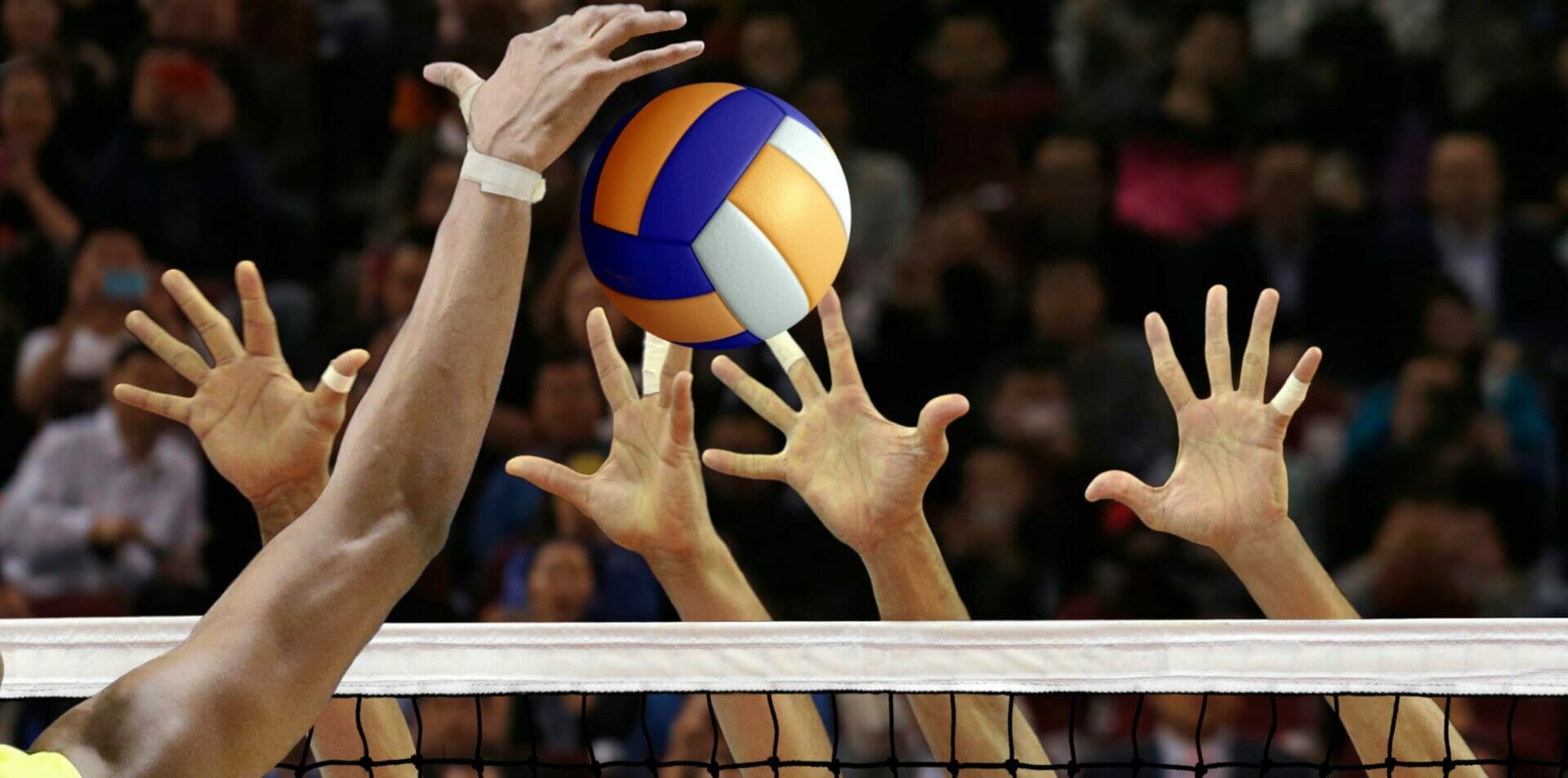 volley sport