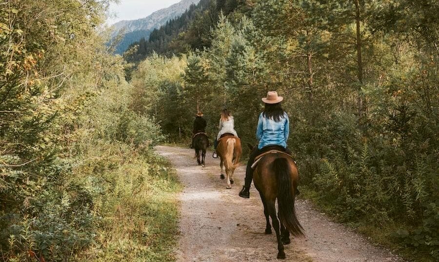 Brams Ranch, Paularo - Visit Zoncolan_ph Giacomo Urban (@Nuovigiorni)