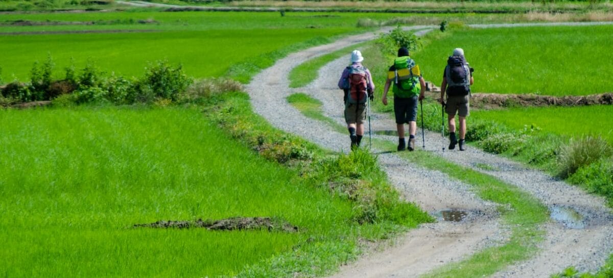 Cammini, primo censimento Enit-Tci: 3,6 milioni di italiani fanno slow tourism