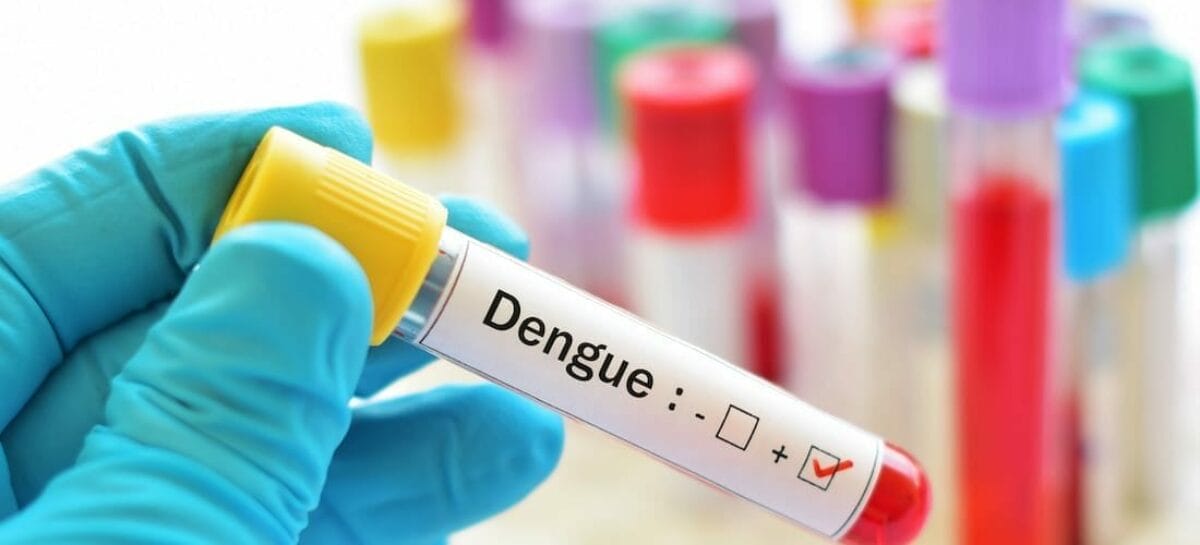 Allerta dengue, scattano i controlli su navi e aerei