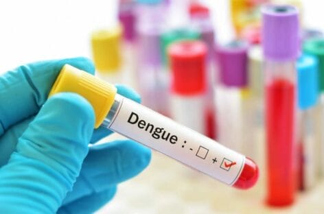Allerta dengue, scattano i controlli su navi e aerei