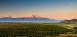 Armenia, a settembre la Conferenza mondiale sul turismo del vino