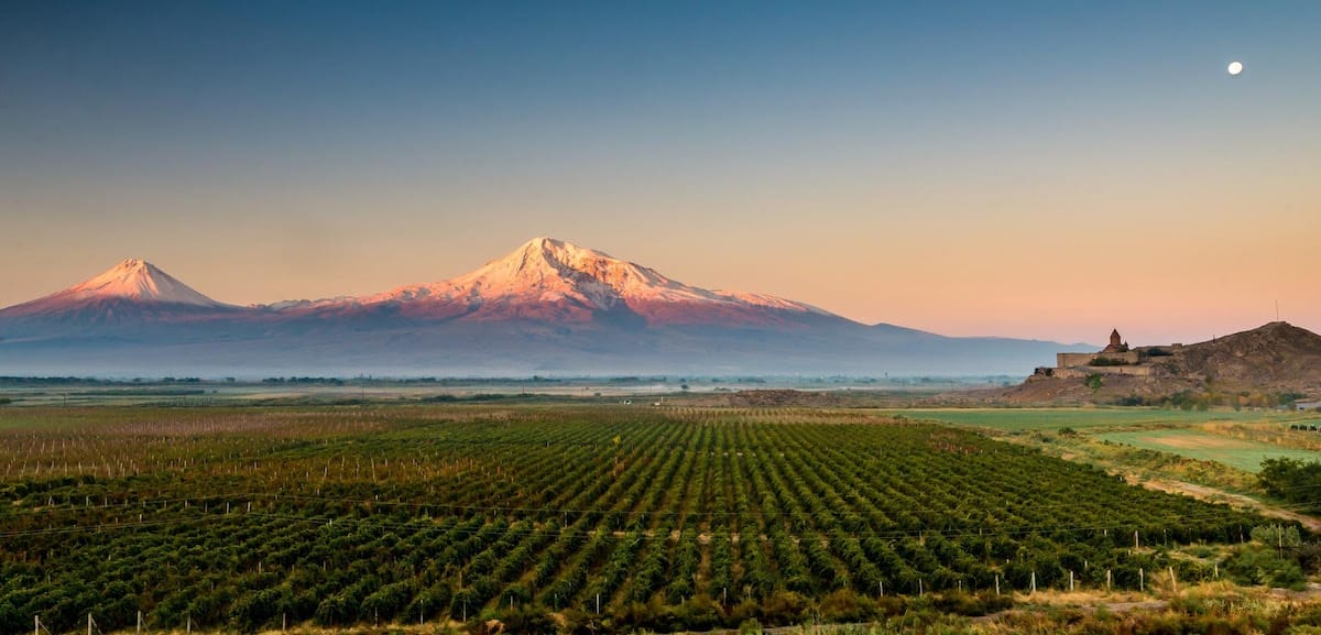 Armenia vigneti uff.st.