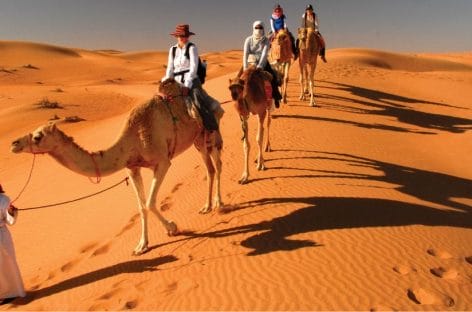 Oman Expert/3 Deserto