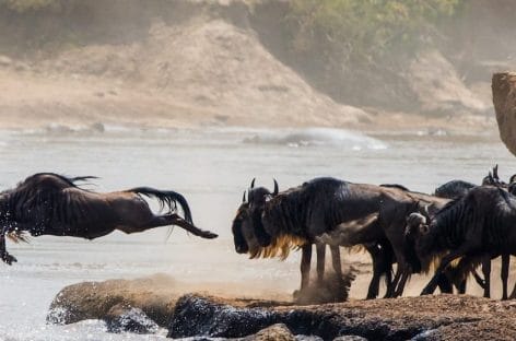 Kenya, l’alluvione nella Riserva Masai Mara non ferma il turismo