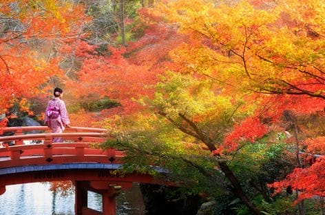 Giappone, tempo di “momijigari”. Ed è caccia alle foglie rosse con Boscolo