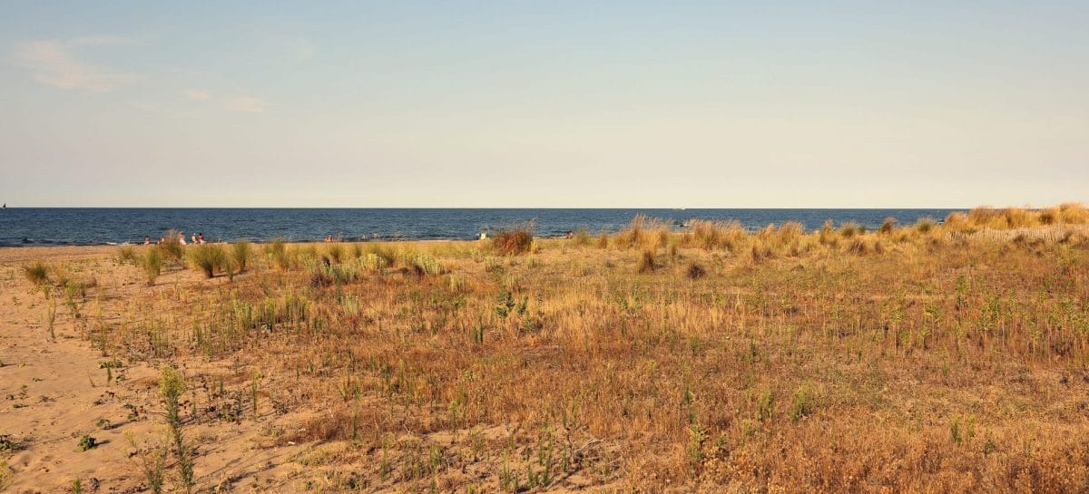 Siccità in Sicilia, Schifani: «Non c’è fuga di turisti»