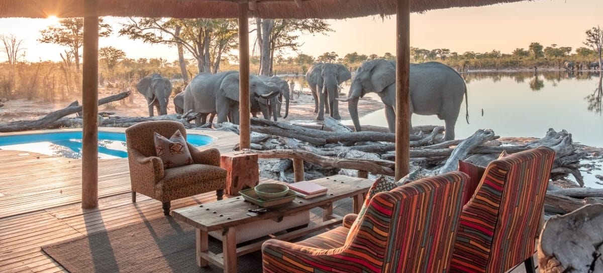 Safari in Botswana, l’opzione glamping by Il Diamante