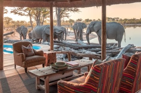 Safari in Botswana, l’opzione glamping by Il Diamante