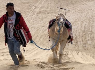 Sahara, il turismo in Tunisia riparte dal deserto – Reportage