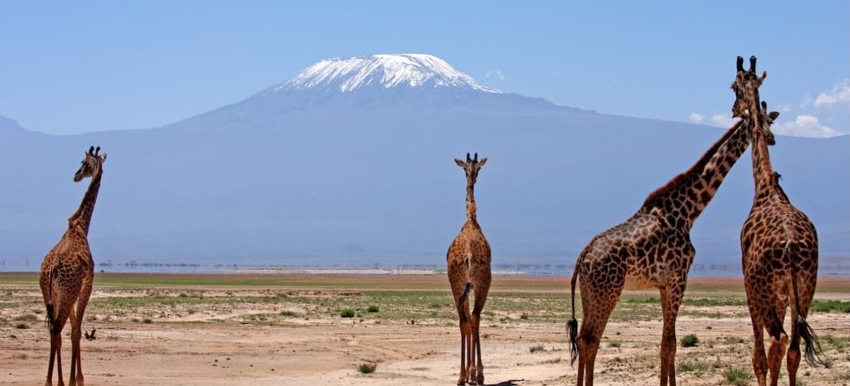 Kenya di lusso: Abercrombie & Kent apre un lodge alle falde del Kilimanjaro