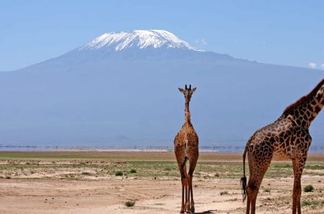 Kenya di lusso: Abercrombie & Kent apre un lodge alle falde del Kilimanjaro