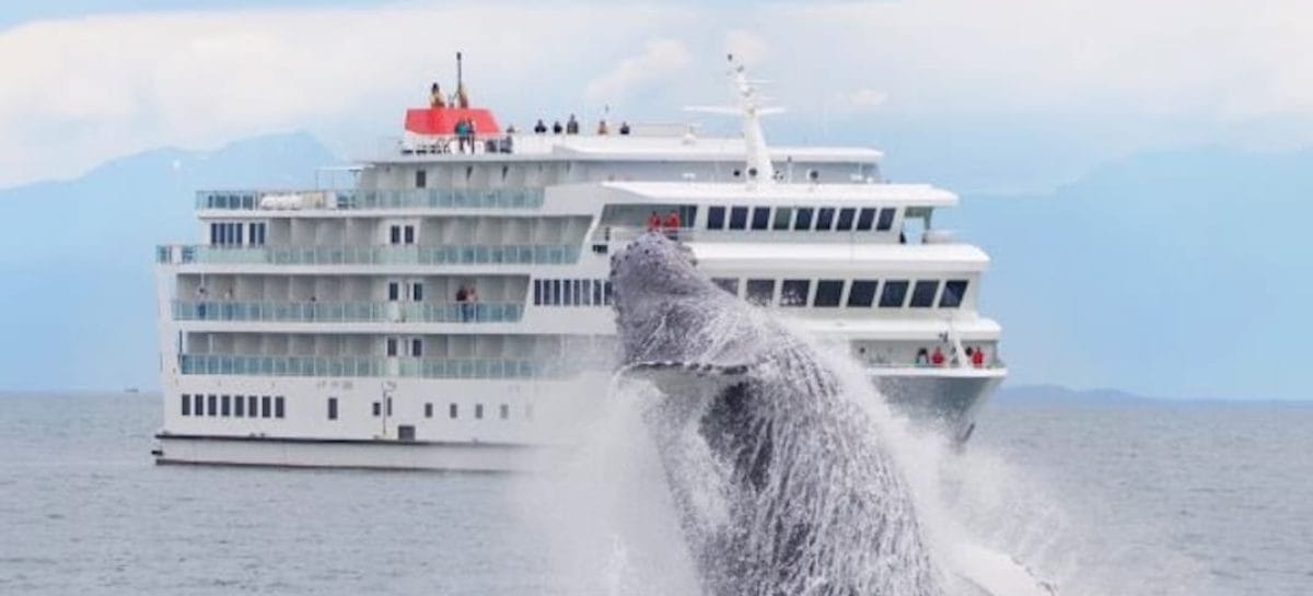 Alaska, i cinque itinerari speciali di American Cruise Line