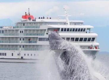 Alaska, i cinque itinerari speciali di American Cruise Line