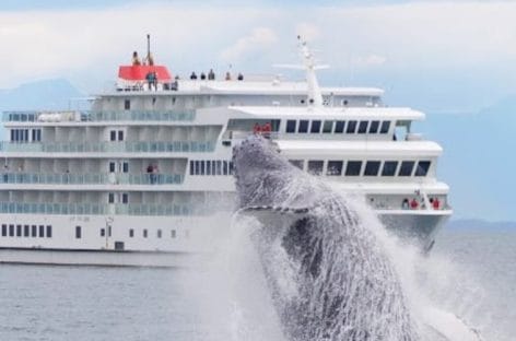 Alaska, i cinque itinerari speciali di American Cruise Line