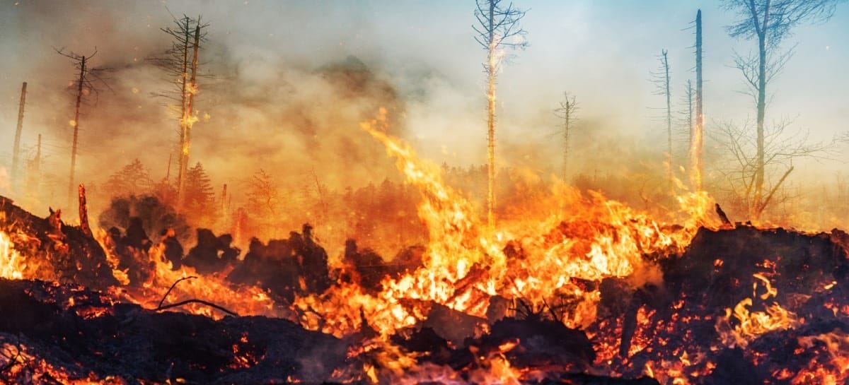 Incendio a Los Angeles, Farnesina: «Massima prudenza»