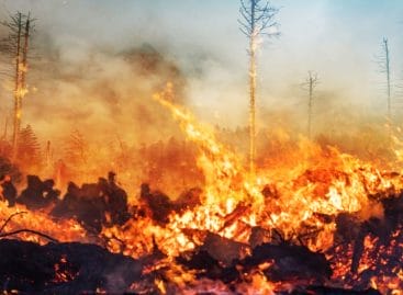 Incendio a Los Angeles, Farnesina: «Massima prudenza»