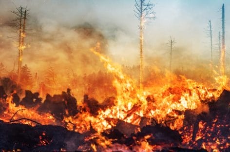 Incendio a Los Angeles, Farnesina: «Massima prudenza»